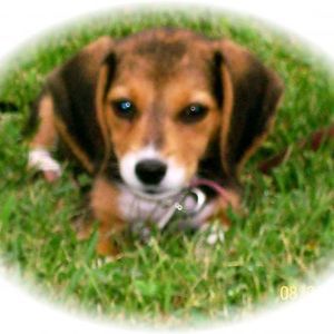 Meet your Posher, Dawnna